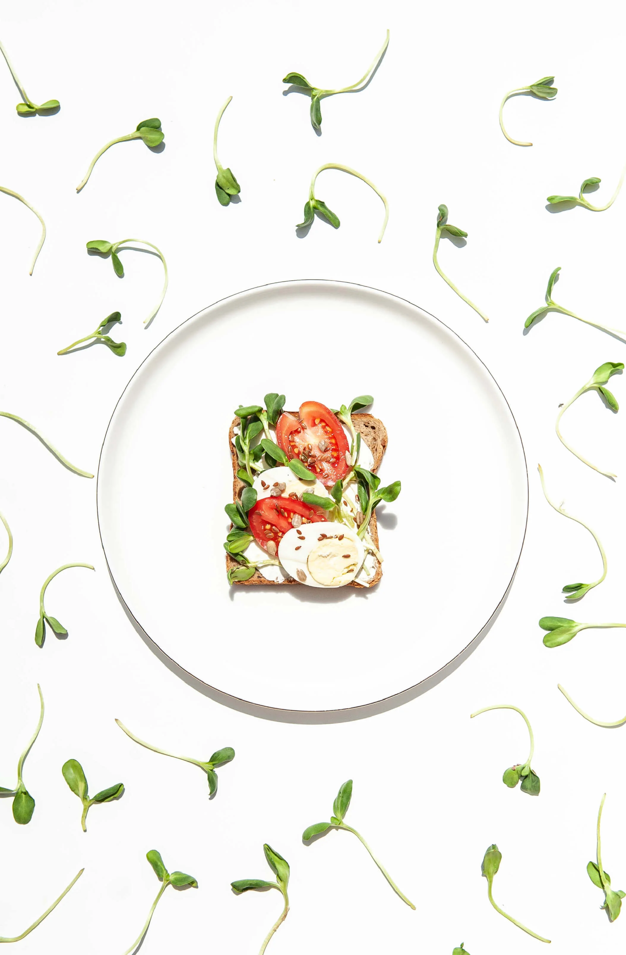 ДОБАВИМ ЗЕЛЕНИ 6